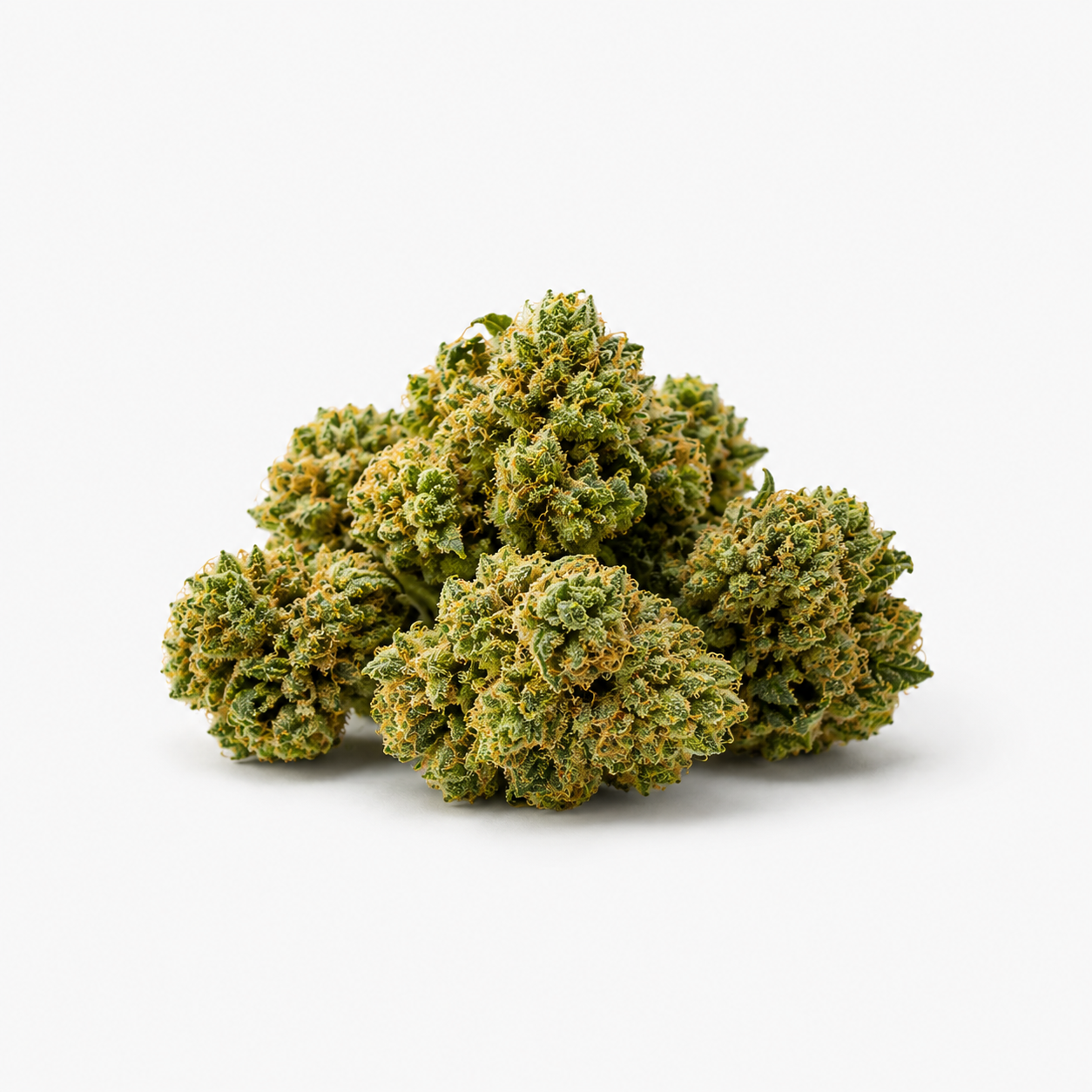 Cannabis light e CBD premium su sfondo bianco per categoria PopperDimension