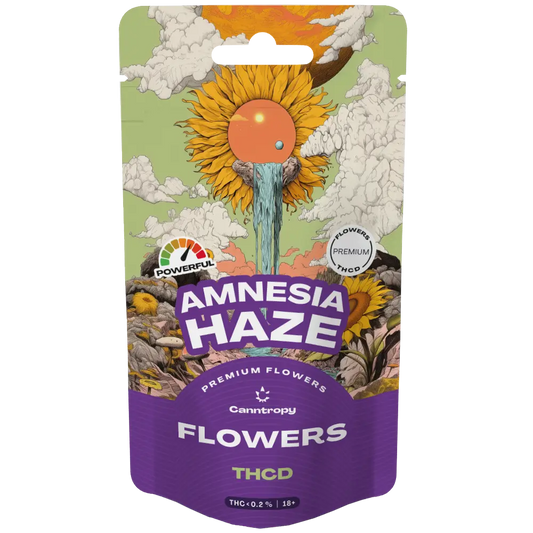 Amnesia Haze THCD infiorescenza tecnica con 10 percento THCD PopperDimension