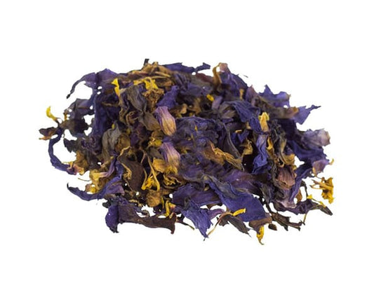 Fiori secchi di Loto Blu - Nymphaea caerulea 10g